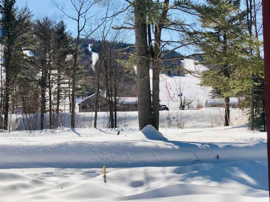 Attitash Mountain Village Studio - Slope View - Ski - Storyland Bartlett Exterior photo