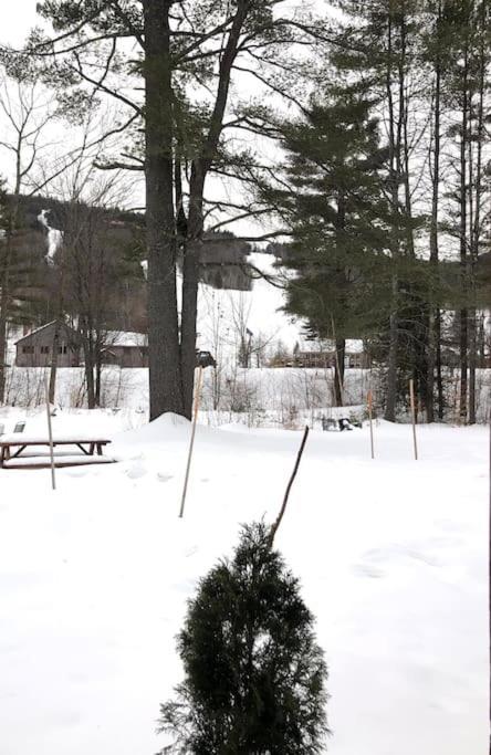 Attitash Mountain Village Studio - Slope View - Ski - Storyland Bartlett Exterior photo